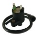 Ignition Coil for Honda TRX250 TRX 250 ATV 1997-2001 Ignition Coil for Honda TRX250 TRX 250 ATV 1997-2001