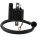 Ignition Coil for Polaris ATV 3083923 Ignition Coil for Polaris ATV 3083923