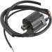 Ignition Coil Yamaha Big Wheel 200 BW200 B200E 1985-1986 Ignition Coil Yamaha Big Wheel 200 BW200 B200E 1985-1986