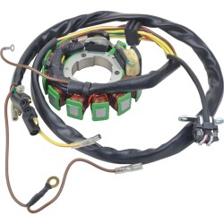 Stator Coil Polaris Magnum 425 1995-1998 Sportsman 400 2001-2002 500 1996-1997
