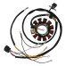 Stator Coil ID 48mm, OD 116mm for Polaris ATV, UTV 3087168 Stator Coil ID 48mm, OD 116mm for Polaris ATV, UTV 3087168