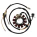Stator Coil ID 47.3mm, OD 114.7mm for Polaris Sportsman ATV, UTV 3086984 Stator Coil ID 47.3mm, OD 114.7mm for Polaris Sportsman ATV, UTV 3086984