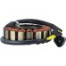 Marine Statori Coil for Sea-Doo Challenger 05 06, GTX 4-TEC 02-05, RXP 04 05 Marine Statori Coil for Sea-Doo Challenger 05 06, GTX 4-TEC 02-05, RXP 04 05