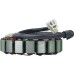 Triumph 12V Stator 340-42002 for Triumph Tiger 2001-2006 T1300350 Triumph 12V Stator 340-42002 for Triumph Tiger 2001-2006 T1300350