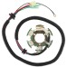 Marine Stator Coil for Yamaha AR210 - LST1200 2003-2005, EXT1200 Exciter 1998-1999 Marine Stator Coil for Yamaha AR210 - LST1200 2003-2005, EXT1200 Exciter 1998-1999