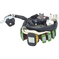 12V Stator 340-58115 for Yamaha Beartracker YFM250 1999