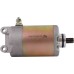 Starter for Baja, Go Scoot, Kazuma, Redcat 250 250cc ATV 410-58008