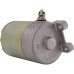 Starter for Baja, Go Scoot, Kazuma, Redcat 250 250cc ATV 410-58008