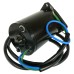 Power Tilt Trim Motor Yamaha 200 225 250 300 hp 2002-2009 Power Tilt Trim Motor Yamaha 200 225 250 300 hp 2002-2009