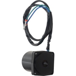 Tilt Trim Motor Evinrude 36-60 HP 2-WIRE 2007-2011