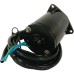 Power Tilt Trim Motor OMC Johnson Evinrude 435548, 983446, 985237, 6244 Power Tilt Trim Motor OMC Johnson Evinrude 435548, 983446, 985237, 6244